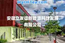 安徽立友德新能源科技发展有限公司