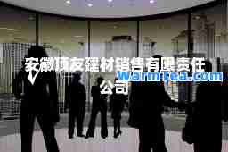 安徽顶友建材销售有限责任公司