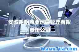 安徽德明商业运营管理有限责任公司