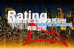 保利联化工控股集团股份有限公司