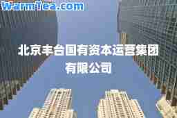 北京丰台国有资本运营集团有限公司