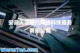 安徽天源辅拍网络科技服务有限公司