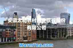 安徽太和农村商业银行股份有限公司