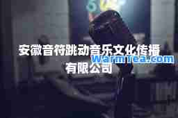 安徽音符跳动音乐文化传播有限公司