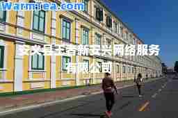 安义县王者新安兴网络服务有限公司