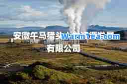 安徽午马猎头人力资源发展有限公司
