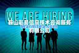鞍山彩易信息技术咨询服务有限公司