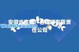 安徽省实成广告传媒有限责任公司