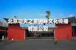 北京功夫之星文化传播有限公司