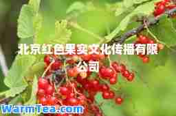 北京红色果实文化传播有限公司
