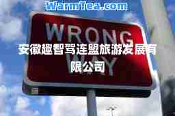 安徽趣智驾连盟旅游发展有限公司