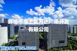 蚌埠市淮上区万达广场开发有限公司