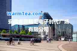 安徽省百脑汇电子时代广场有限公司