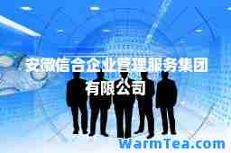 安徽信企业管理服务集团有限公司