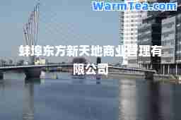 蚌埠东方新天地商业管理有限公司