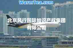 北京风行知识产权集团有限公司