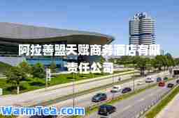 阿拉善盟天赋商务酒店有限责任公司