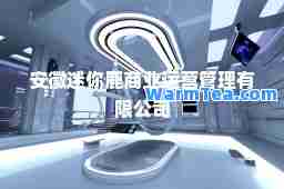 安徽迷你鹿商业运营管理有限公司
