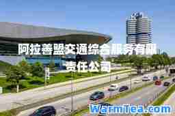 阿拉善盟交通综服务有限责任公司