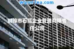 蚌埠市石赢企业管理有限责任公司
