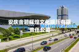 安庆金碧辉煌文化娱乐有限责任公司