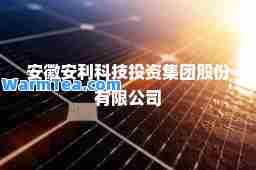 安徽安利科技投资集团股份有限公司