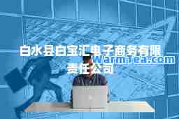 白水县白宝汇电子商务有限责任公司
