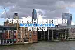 安徽蒙城农村商业银行股份有限公司