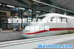 安徽金智元汽车技术服务咨询有限公司