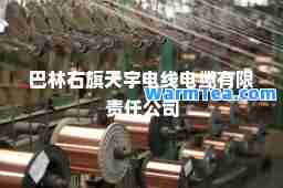 巴林右旗天宇电线电缆有限责任公司