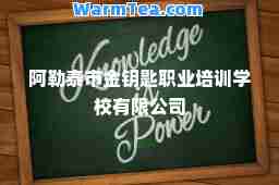 阿勒泰市金钥匙职业培训学校有限公司