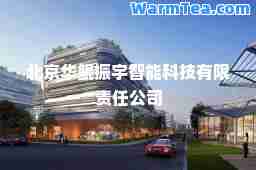 北京华鲲振宇智能科技有限责任公司