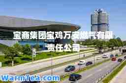 宝商集团宝鸡万安燃气有限责任公司