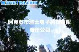 阿克苏市雅士电子科技有限责任公司