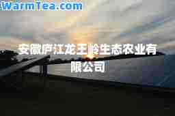 安徽庐江龙王岭生态农业有限公司