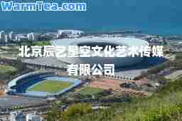 北京辰艺星空文化艺术传媒有限公司
