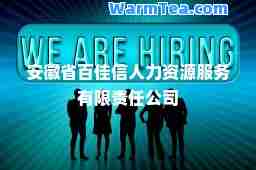安徽省百佳信人力资源服务有限责任公司