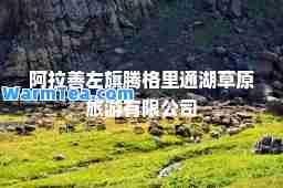 阿拉善左旗腾格里通湖草原旅游有限公司