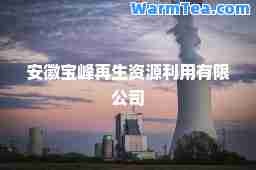 安徽宝峰再生资源利用有限公司