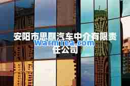 安阳市思麒汽车中介有限责任公司