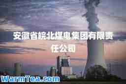 安徽省皖北煤电集团有限责任公司