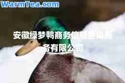 安徽绿梦鸭商务信息咨询服务有限公司