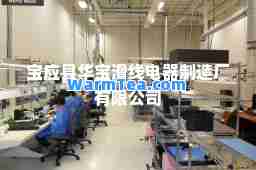宝应县华宝滑线电器制造厂有限公司