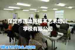 保定市莲池区炫木艺术培训学校有限公司
