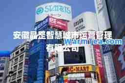 安徽晶罡智慧城市运营管理有限公司