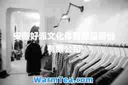 安徽好派文化体育用品股份有限公司