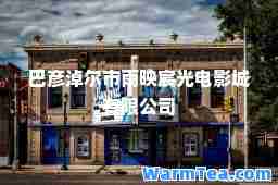 巴彦淖尔市雨映宸光电影城有限公司
