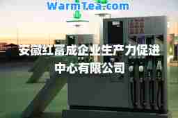 安徽红富成企业生产力促进中心有限公司