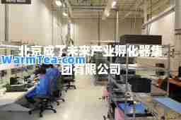 北京成了未来产业孵化器集团有限公司
