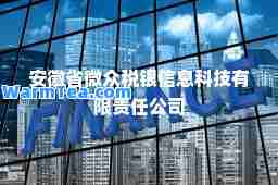 安徽省微众税银信息科技有限责任公司